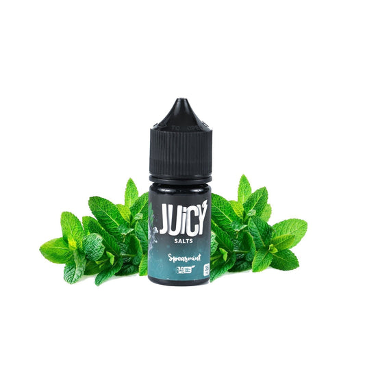 Spearmint - Juicy Salts | 30ML Vape Juice | 35MG, 50MG | Vape Store